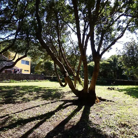 Casa Pim Pim * Norte Pequeno